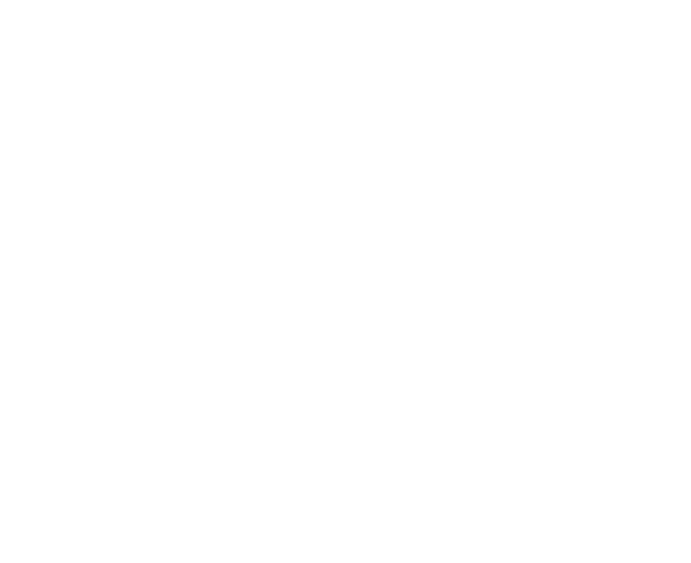 Owasa logo white