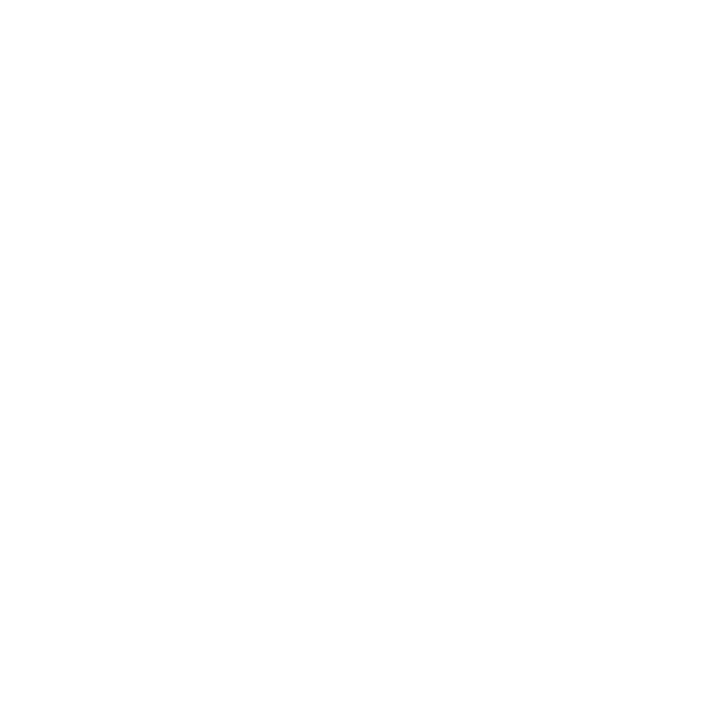 you are the light white low quality logo