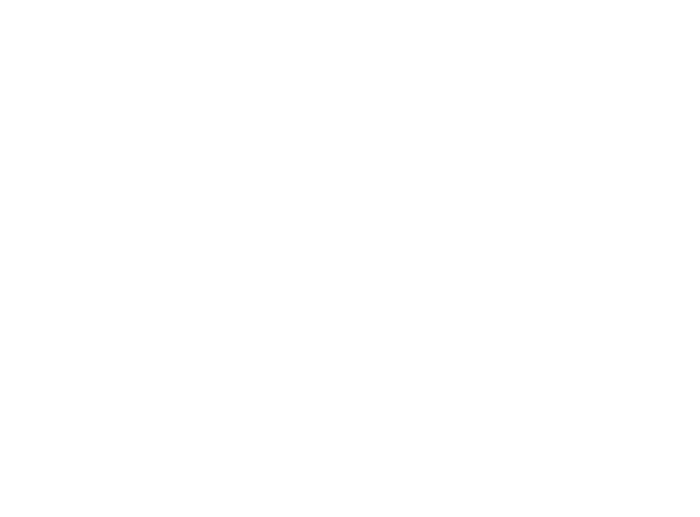 Brightstar Coach White Logo