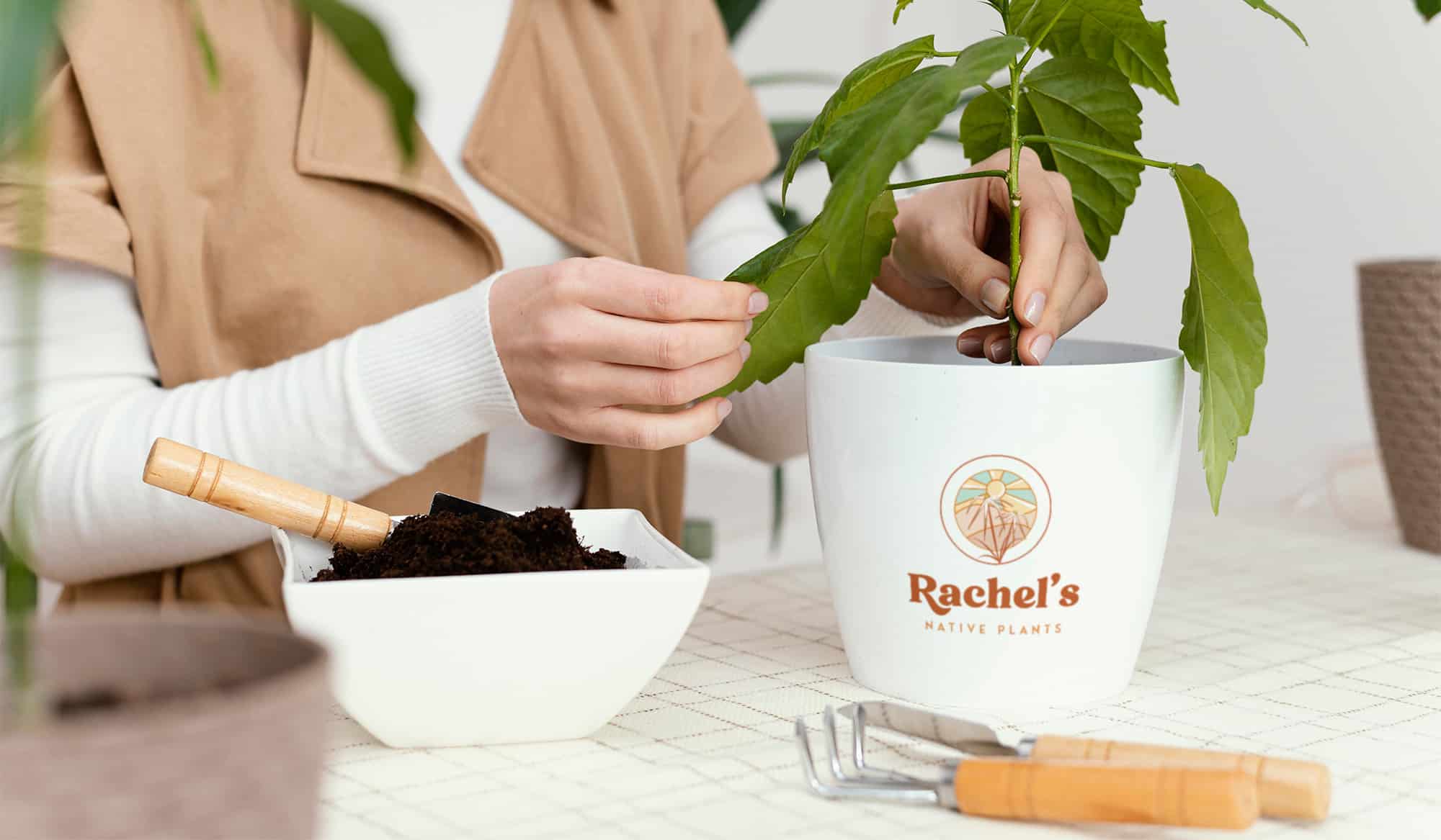 rachel's native plants pot mockup high res